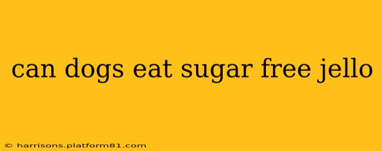 can dogs eat sugar free jello