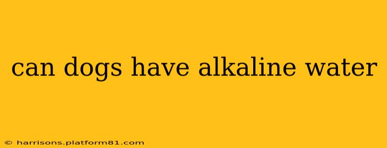 can dogs have alkaline water