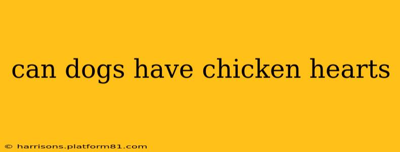 can dogs have chicken hearts
