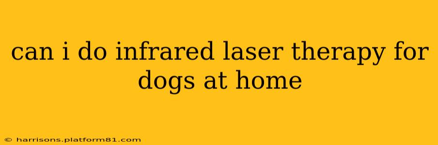 can i do infrared laser therapy for dogs at home
