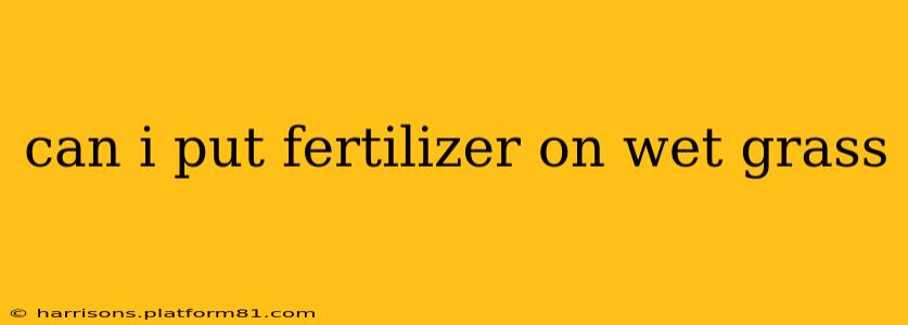 can i put fertilizer on wet grass