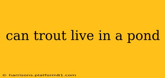 can trout live in a pond