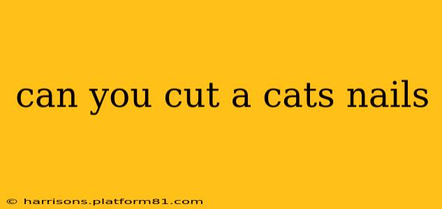 can you cut a cats nails