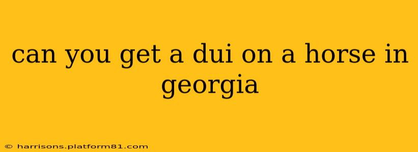 can you get a dui on a horse in georgia