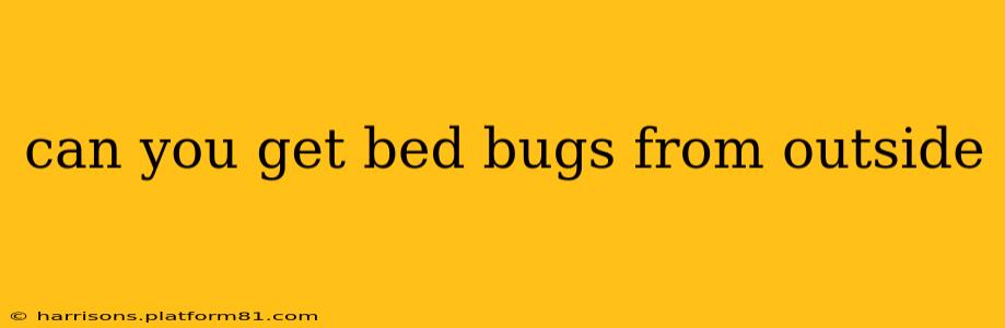 can you get bed bugs from outside