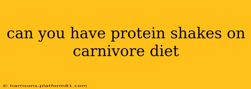 can you have protein shakes on carnivore diet