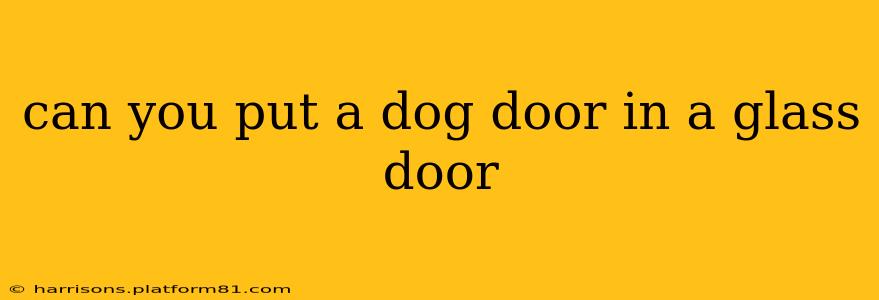 can you put a dog door in a glass door