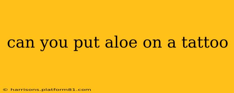 can you put aloe on a tattoo