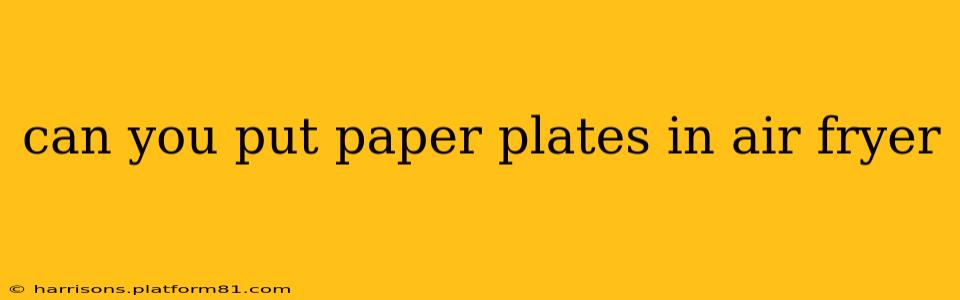 can you put paper plates in air fryer