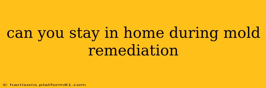 can you stay in home during mold remediation