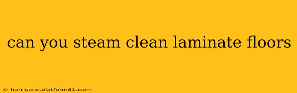 can you steam clean laminate floors