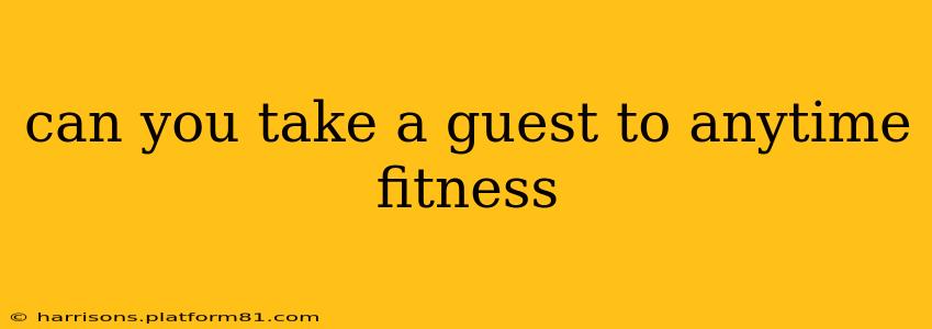can you take a guest to anytime fitness