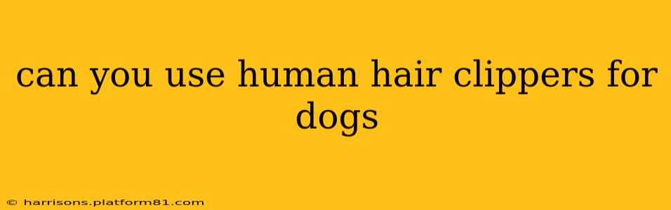 can you use human hair clippers for dogs