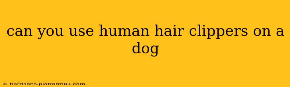 can you use human hair clippers on a dog