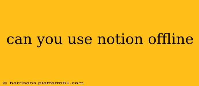 can you use notion offline
