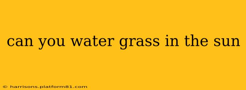 can you water grass in the sun