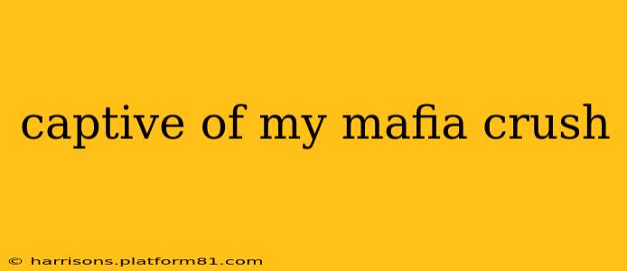 captive of my mafia crush