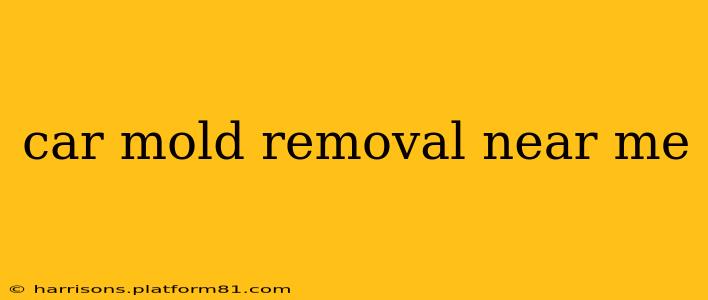 car mold removal near me