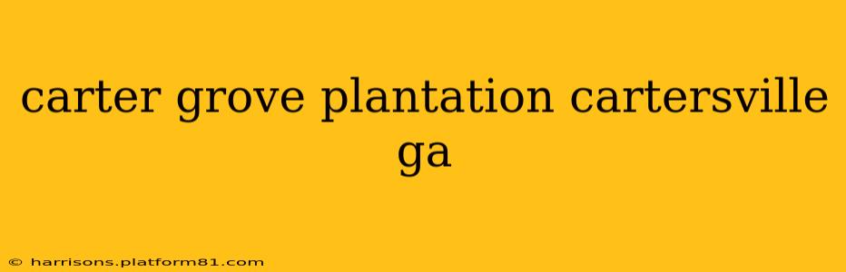carter grove plantation cartersville ga