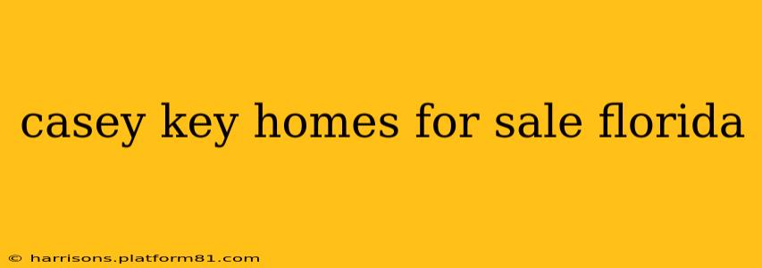 casey key homes for sale florida