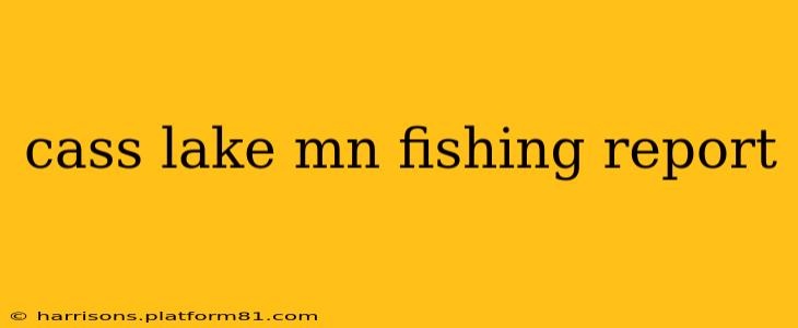 cass lake mn fishing report