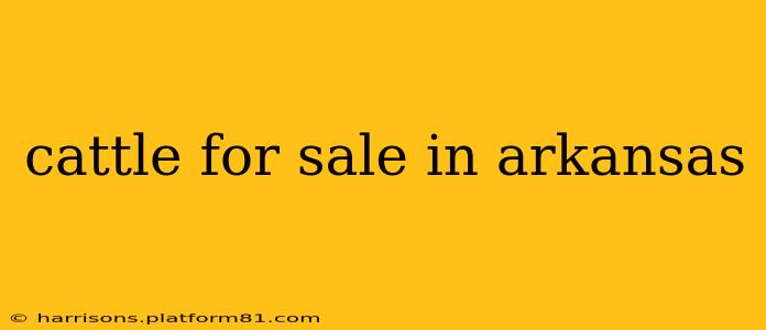 cattle for sale in arkansas
