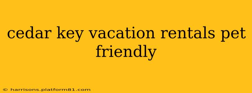 cedar key vacation rentals pet friendly