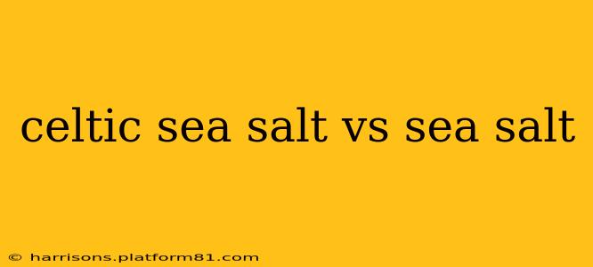 celtic sea salt vs sea salt