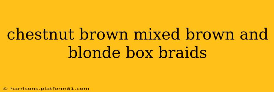 chestnut brown mixed brown and blonde box braids