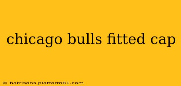 chicago bulls fitted cap