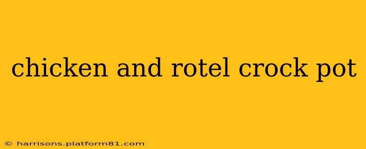 chicken and rotel crock pot