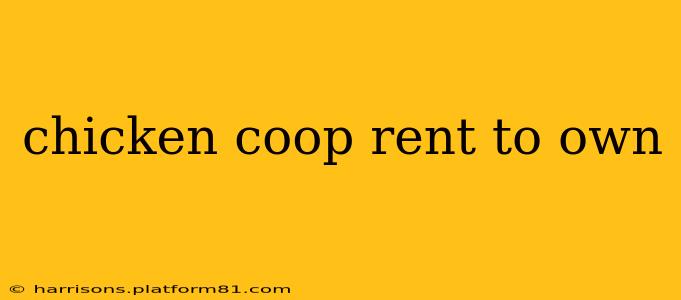 chicken coop rent to own