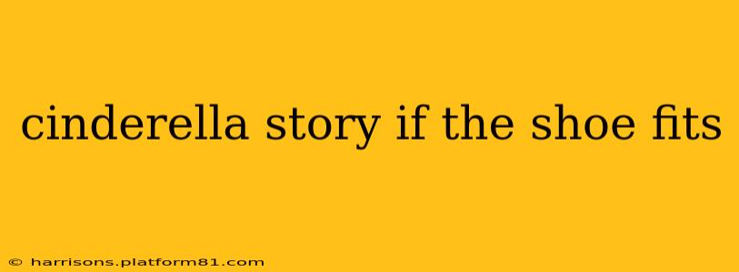 cinderella story if the shoe fits
