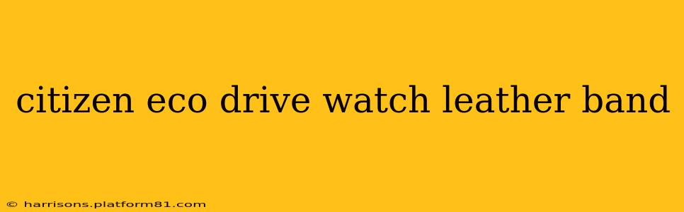citizen eco drive watch leather band
