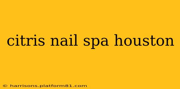 citris nail spa houston