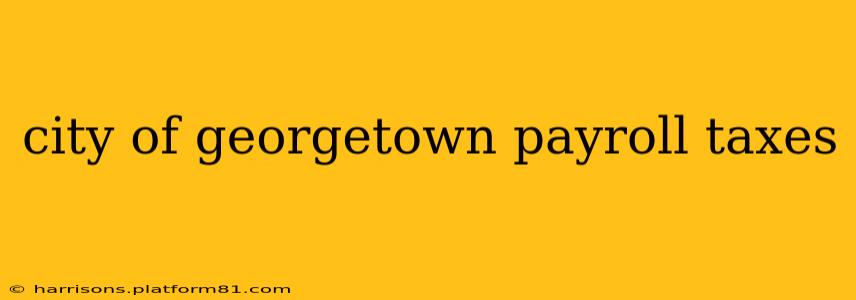 city of georgetown payroll taxes