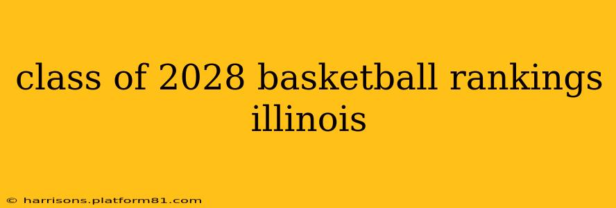 class of 2028 basketball rankings illinois