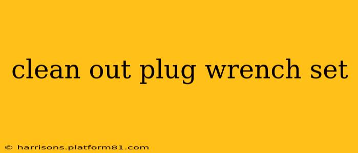 clean out plug wrench set