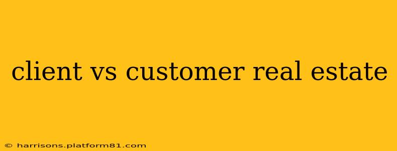 client vs customer real estate