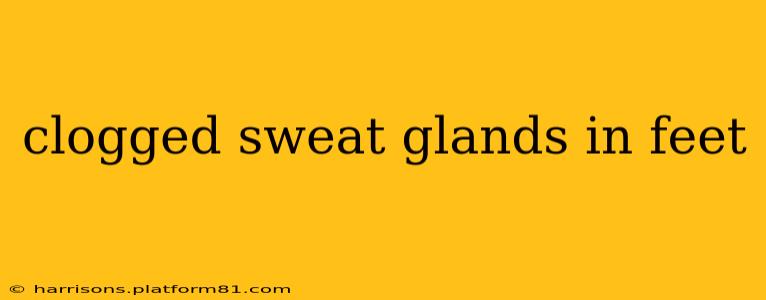clogged sweat glands in feet