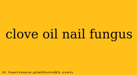 clove oil nail fungus