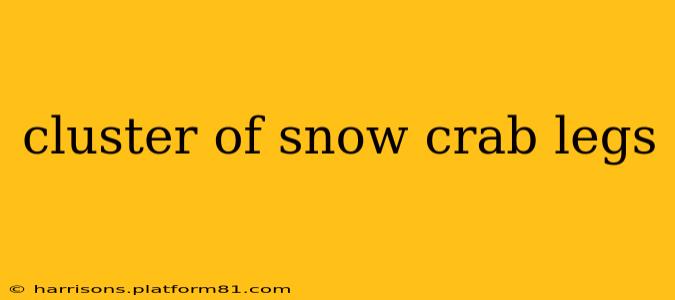 cluster of snow crab legs