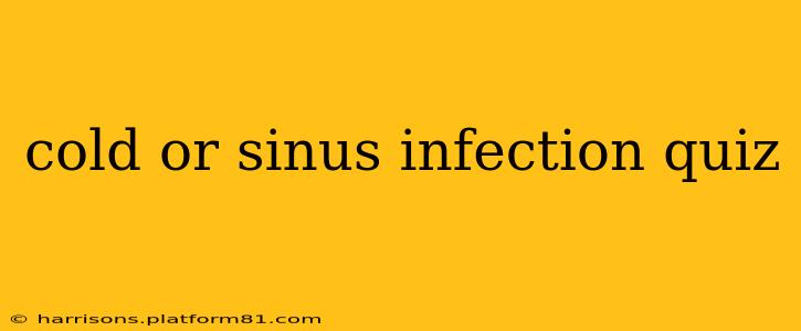 cold or sinus infection quiz