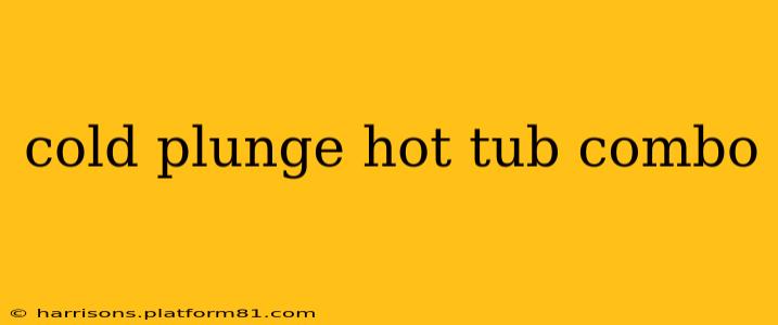 cold plunge hot tub combo