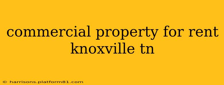 commercial property for rent knoxville tn