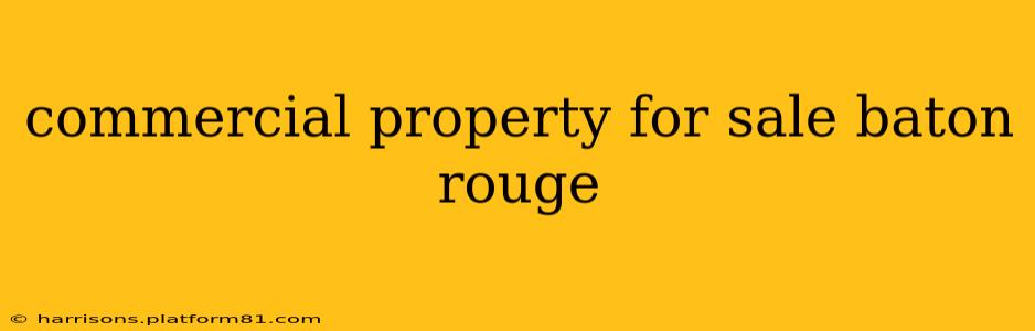 commercial property for sale baton rouge