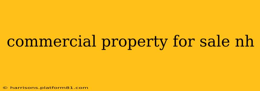 commercial property for sale nh