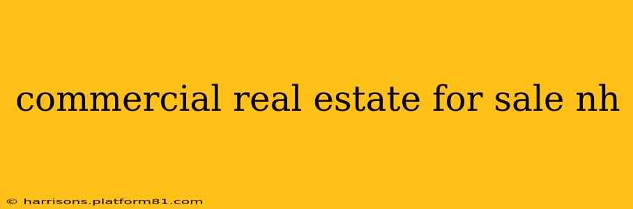 commercial real estate for sale nh