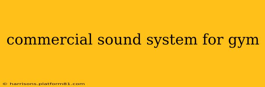 commercial sound system for gym
