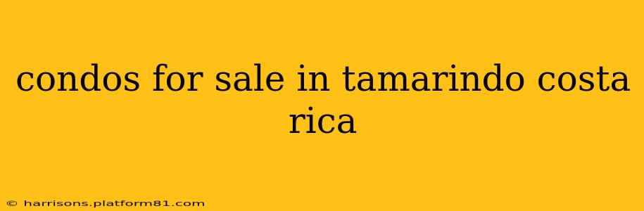 condos for sale in tamarindo costa rica